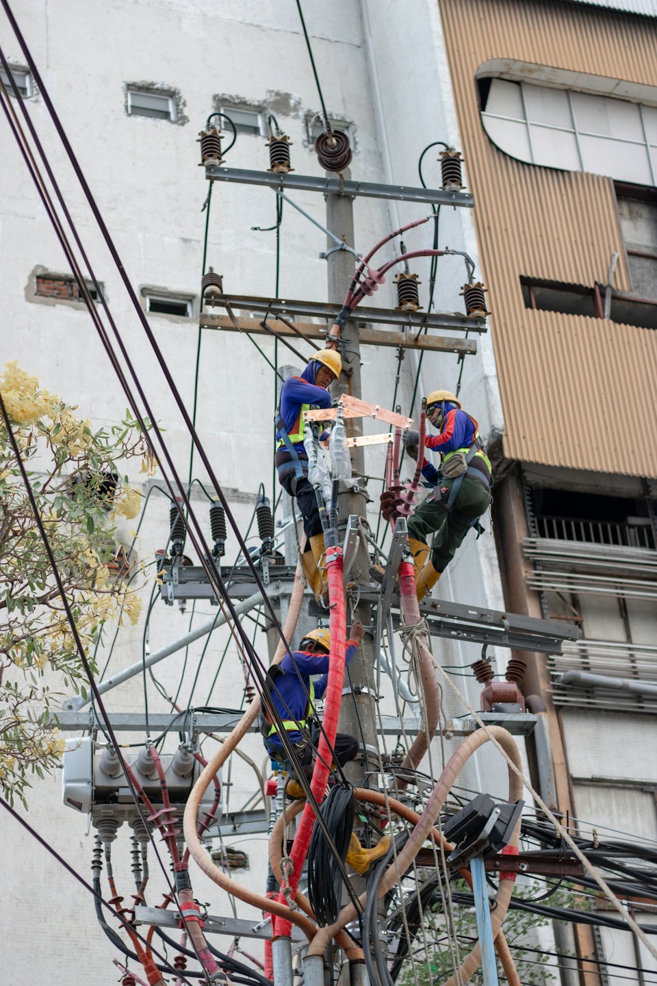 Electricians in safety gear connect wires on a utility pole.